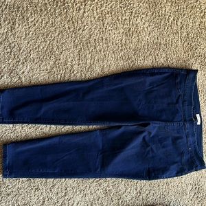 Lane Bryant Denim Blue Jeans